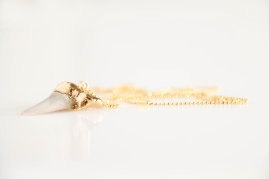 Gold plated Shark's tooth fossil(4110)